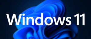 Pandora for Windows 11